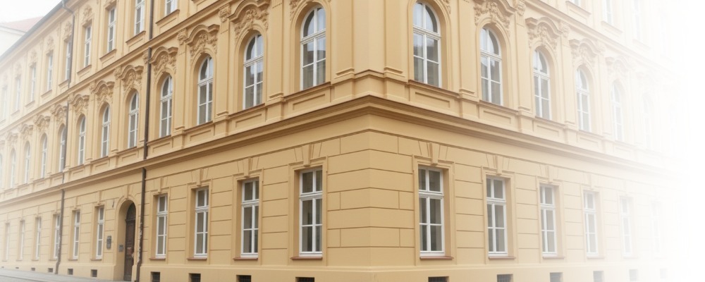 Polecamy tło